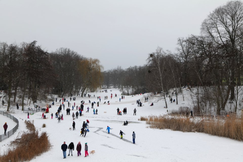 Volkspark Wilmersdorf with snow 2021-02-08 18