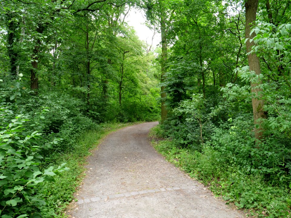 Volkspark Jungfernheide 43