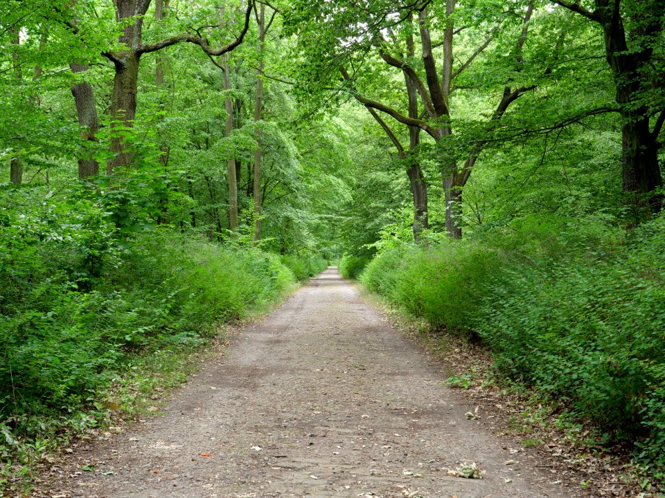 Volkspark Jungfernheide 42