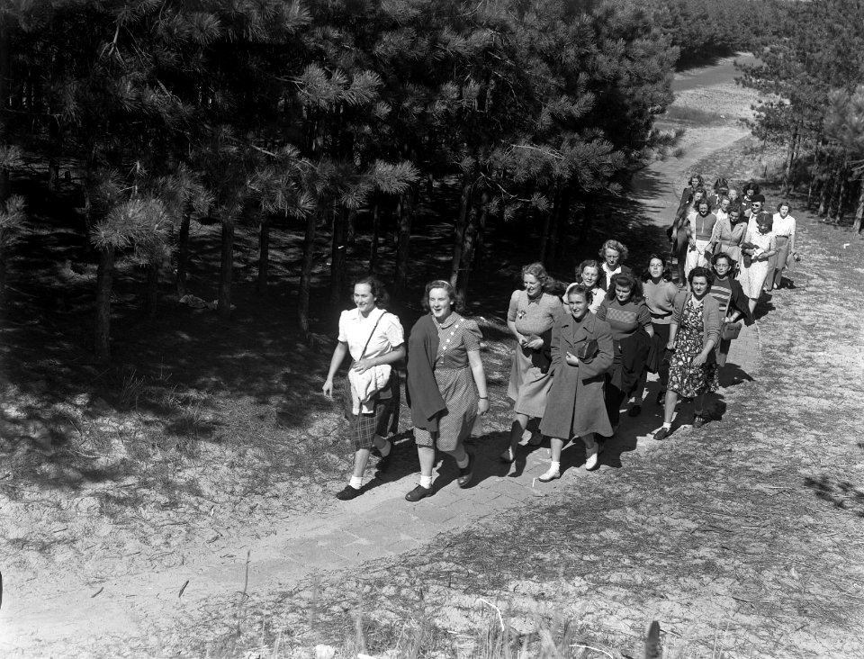Volkshogeschool te Bergen. Wandelen, Bestanddeelnr 902-7768