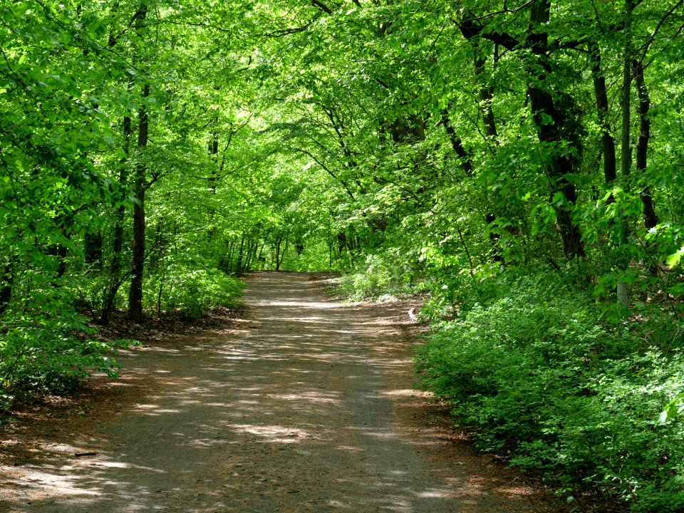 Volkspark Jungfernheide 27