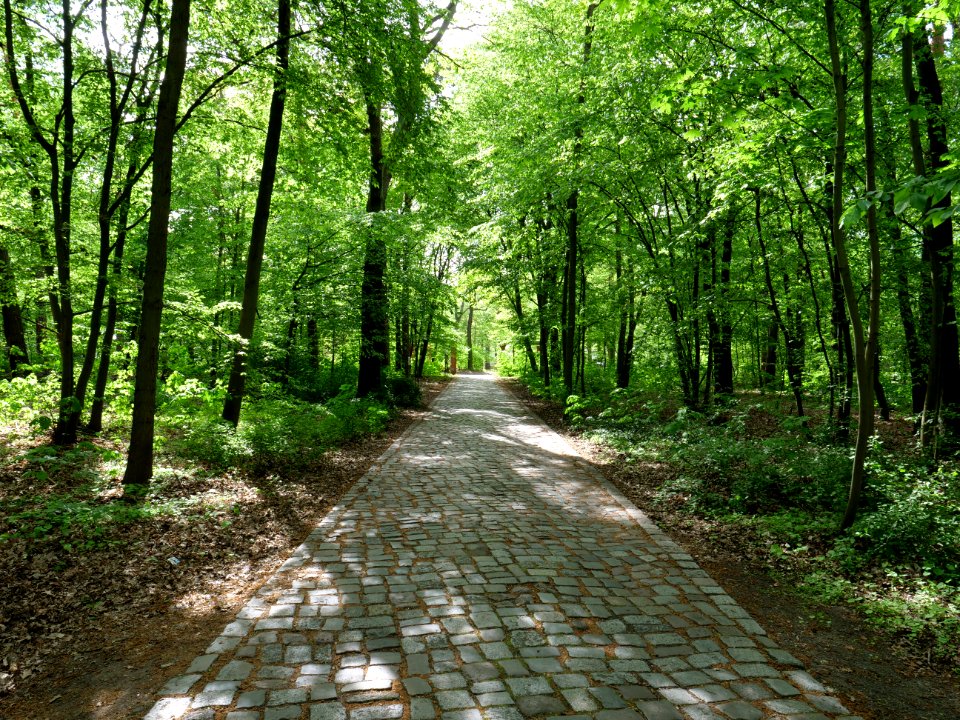 Volkspark Jungfernheide 28
