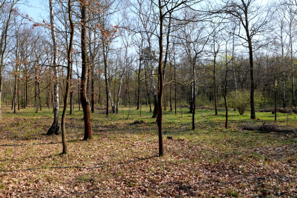 Volkspark Wuhlheide 2021-04-20 16