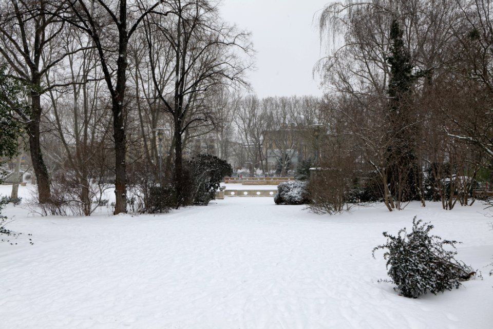 Volkspark Wilmersdorf with snow 2021-02-08 23