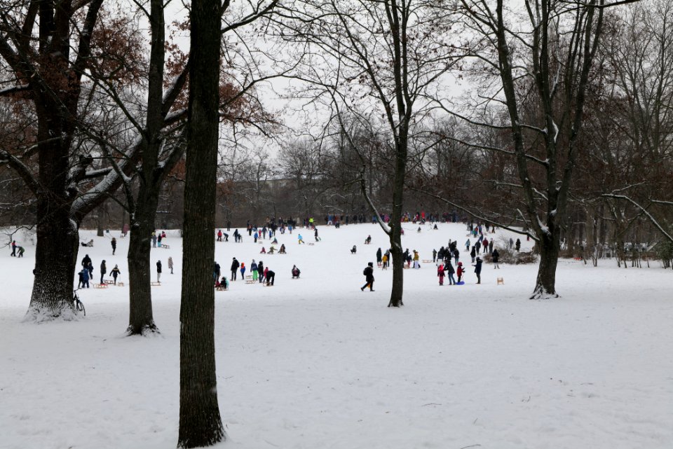 Volkspark Wilmersdorf with snow 2021-02-08 09