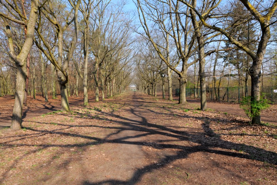 Volkspark Wuhlheide 2021-04-20 07