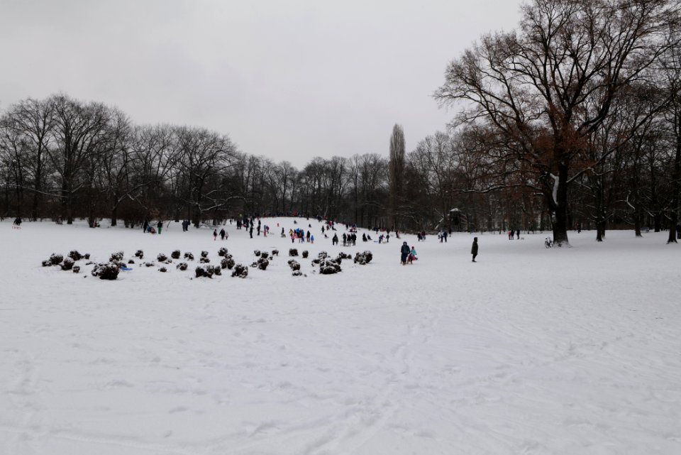 Volkspark Wilmersdorf with snow 2021-02-08 05
