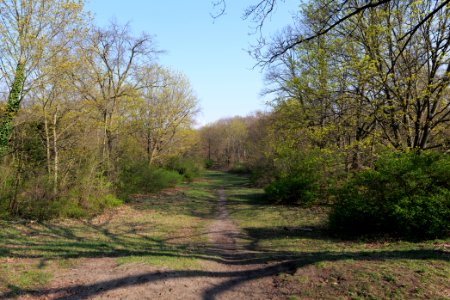 Volkspark Wuhlheide 2021-04-20 02