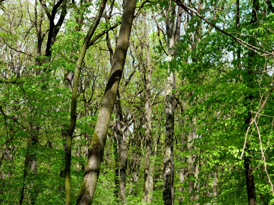 Volkspark Jungfernheide 20