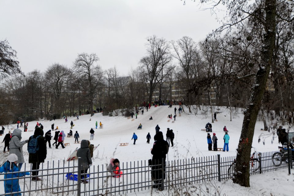 Volkspark Wilmersdorf with snow 2021-02-08 12