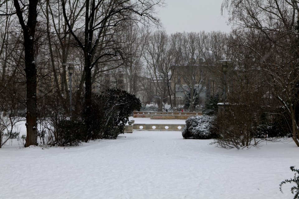 Volkspark Wilmersdorf with snow 2021-02-08 24
