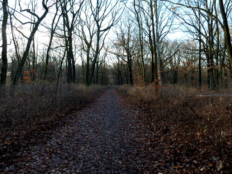 Volkspark Jungfernheide 03