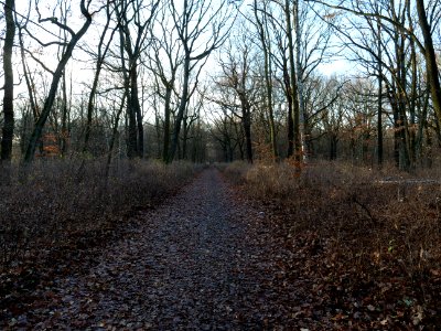 Volkspark Jungfernheide 03