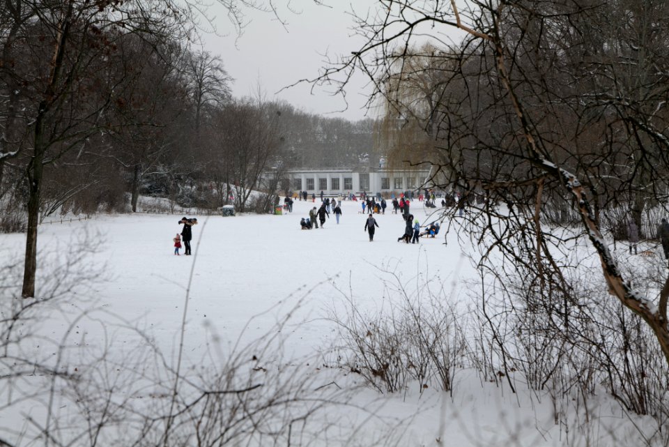 Volkspark Wilmersdorf with snow 2021-02-08 10