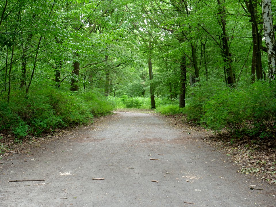 Volkspark Jungfernheide 41