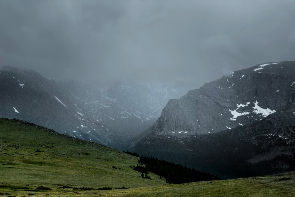 Green grass fog