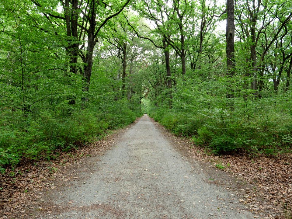 Volkspark Jungfernheide 35