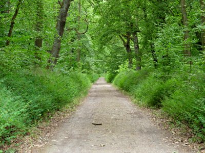 Volkspark Jungfernheide 32