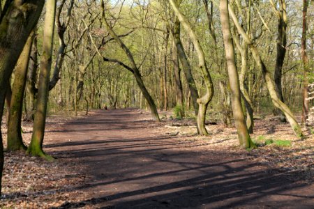 Volkspark Wuhlheide 2021-04-20 27
