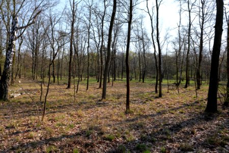 Volkspark Wuhlheide 2021-04-20 14