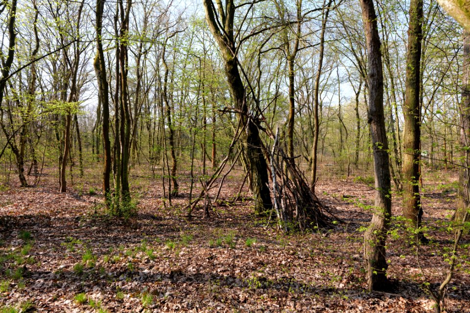 Volkspark Wuhlheide 2021-04-20 25