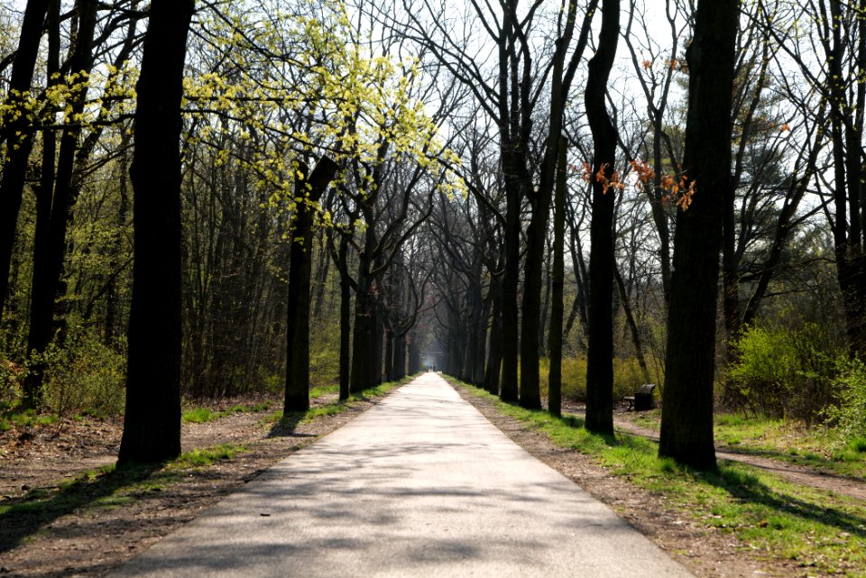 Volkspark Wuhlheide 2021-04-20 21