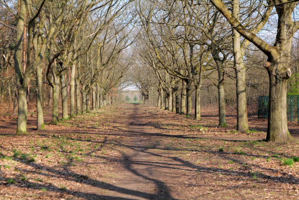 Volkspark Wuhlheide 2021-04-20 08