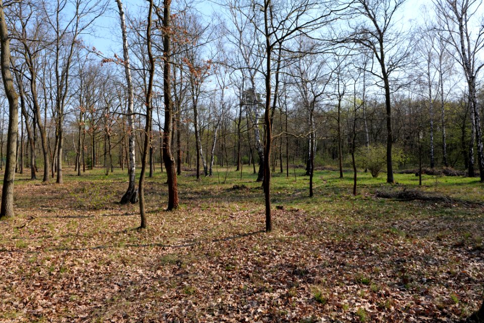 Volkspark Wuhlheide 2021-04-20 17