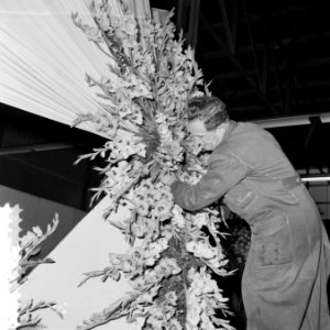Voorbereidingen bloemencorso Rotterdam, Bestanddeelnr 908-9630