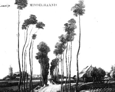 Voorbeelden van slecht snoeien Afbeelding schilderij van Meindert Hobbema de l, Bestanddeelnr 193-0825