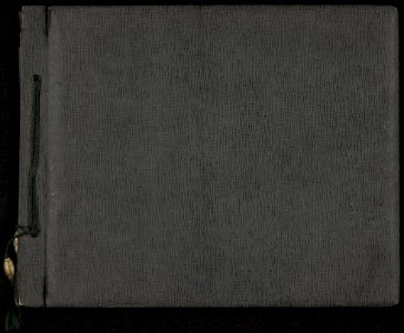 Voorkant fotoalbum, Bestanddeelnr 807 01