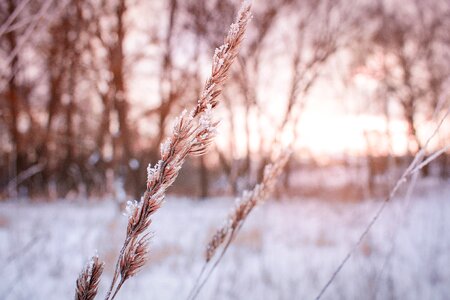 Landscape sun nature