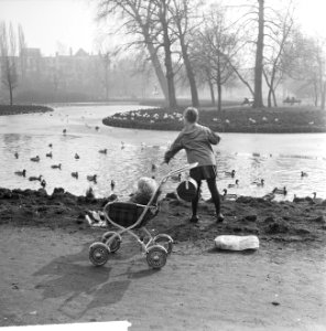 Voorjaar in het Vondelpark te Amsterdam, Bestanddeelnr 916-1649