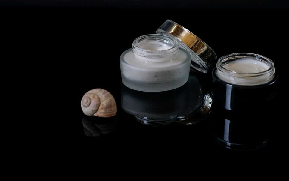Shell of a snail skin care makeup