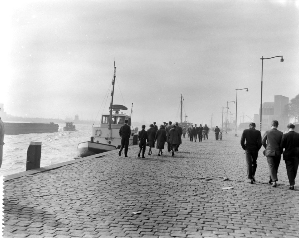 Voorjaar in Rotterdam, Bestanddeelnr 912-2019