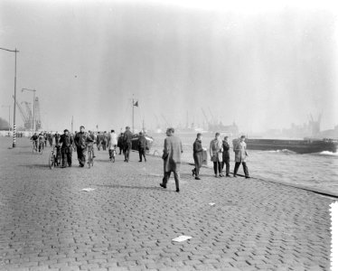 Voorjaar in Rotterdam, Bestanddeelnr 912-2024