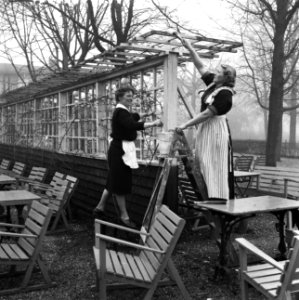 Voorjaars Make-up in Vondelpark, Bestanddeelnr 912-1982