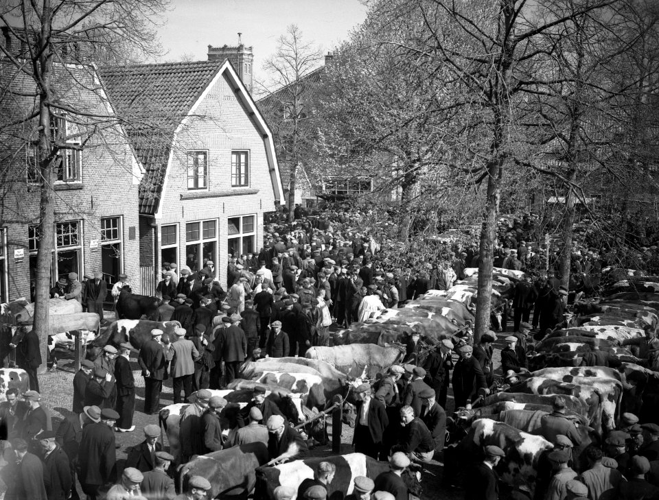 Voorjaarsveemarkt in Rijssen, Bestanddeelnr 902-6927