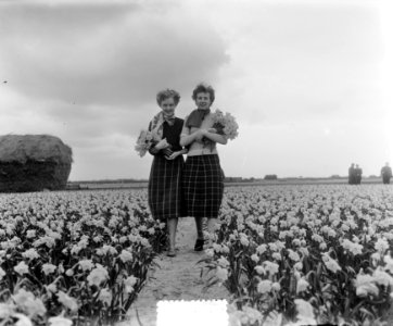 Voorjaarsplaatjes meisjes op Narcissenveld, Bestanddeelnr 905-6425