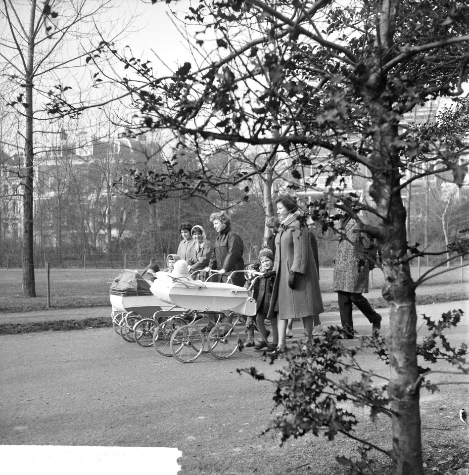 Voorjaar in het Vondelpark te Amsterdam, Bestanddeelnr 916-1646