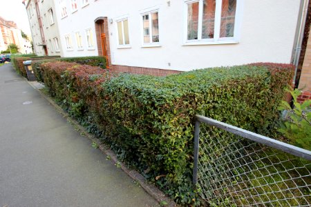 Vorgarten von Wohnhaus Philosophenweg 51 in Kassel