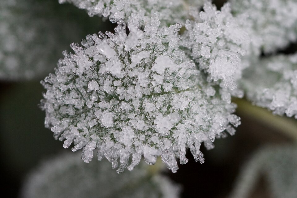 Winter cold wintry