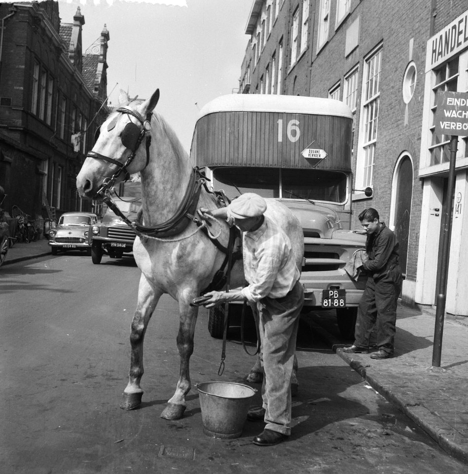 Voorjaarsschoonmaak man en paard, Bestanddeelnr 912-5630