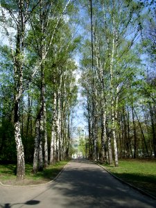 Vorovsky park alley