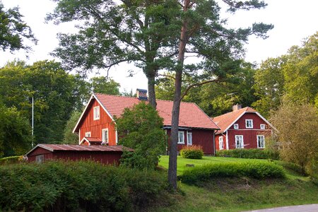 Red lawn grass
