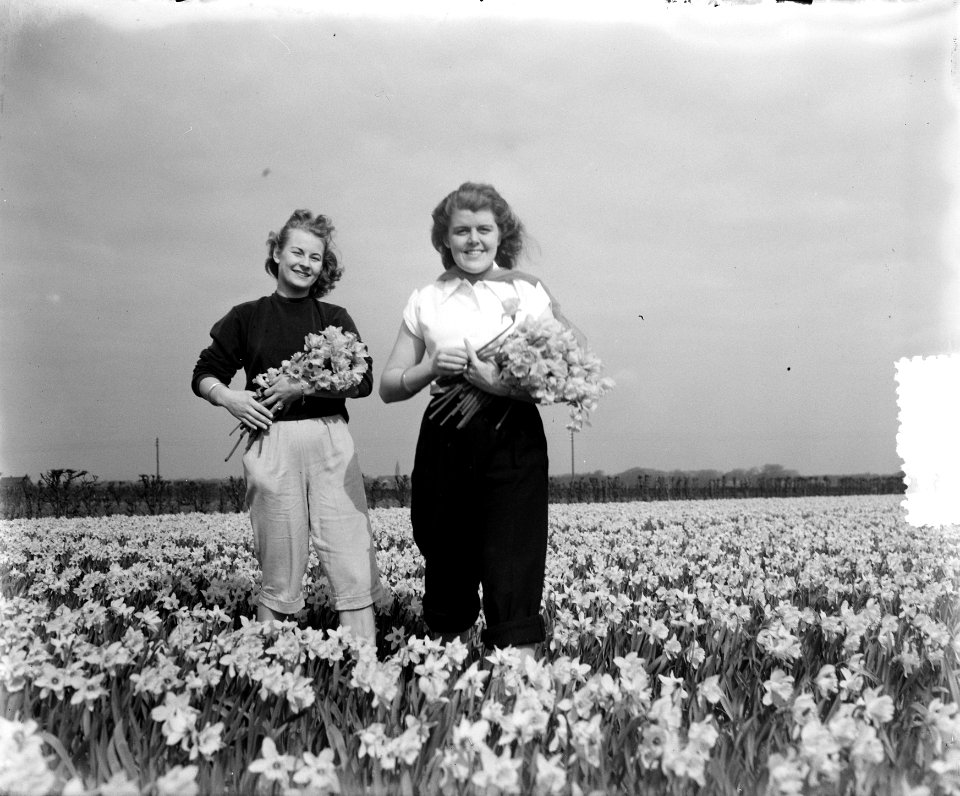 Voorjaarsplaatjes meisjes op Narcissenveld, Bestanddeelnr 905-6423
