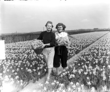 Voorjaarsplaatjes meisjes op Narcissenveld, Bestanddeelnr 905-6427