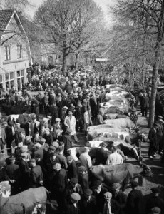Voorjaarsveemarkt in Rijssen, Bestanddeelnr 902-6926