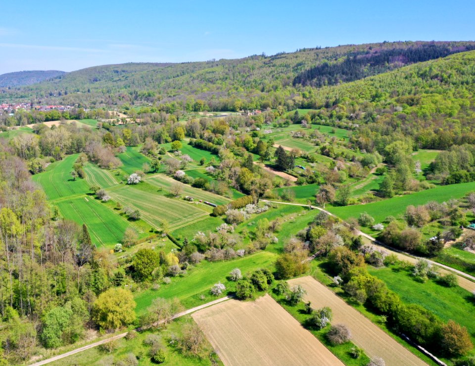 Vorbergzone bei Sulzbach
