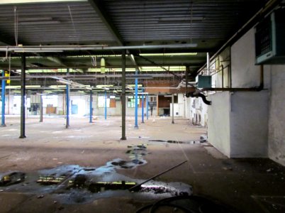 Voormalige Lepperfabriek Dieren (4)